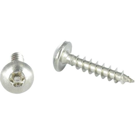 Vis Penture Inviolable TORX T30 avec téton 6X50 Inox A2 - 100 pièces (1/5)