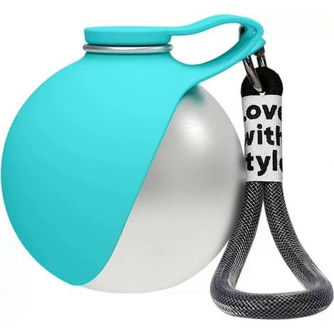 Gourde chien 300 ml acier inoxydable, gamelle pliable silicone étanche portable, pour promenades randonnée - bleu (1/5)