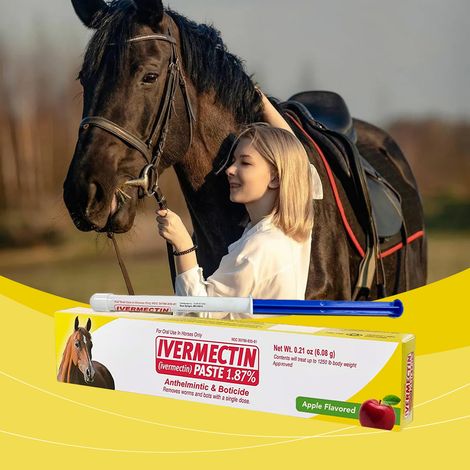 Crème vermifuge pour chevaux parfumée à la pomme, à base d'ingrédients végétaux doux et non irritants. Conditionnement pratique (1 unité). (1/5)