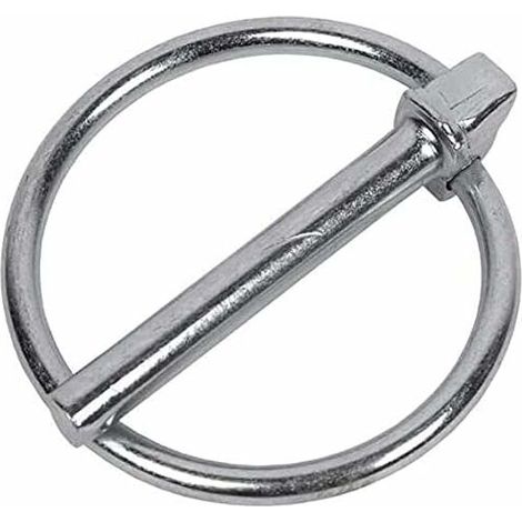 Goupille de Lynch avec Anneau Goupille Clip Anneau Rond 6 x 41 en Acier Galvanisé Finition Zinguée pour Voiture, Fermeture Remorque Tracteur Tondeuse, Ferme (1/5)