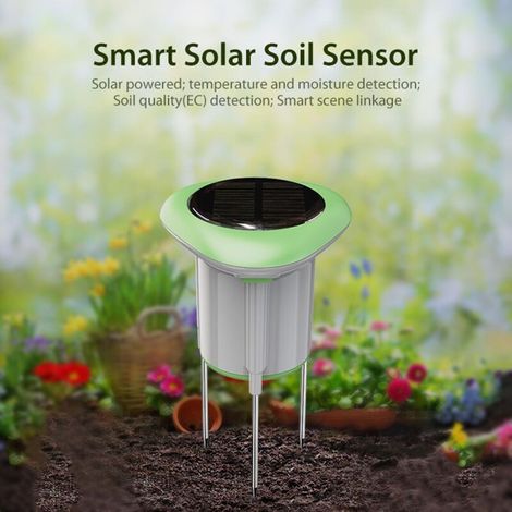 Capteur Solaire Intelligent WiFi pour Température et Humidité du Sol (1/5)