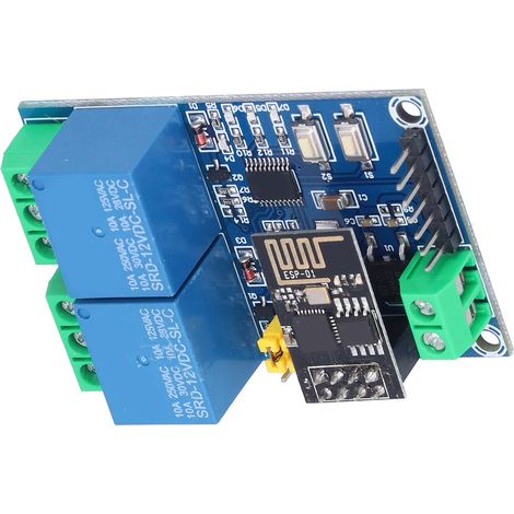 Relais WiFi double canal 12V ESP8266, module relais WiFi avec application mobile et commande à distance pour maison connectée IoT (1/5)