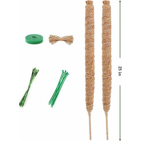 Tuteur en mousse flexible pour plantes grimpantes d'intérieur, 64 cm (25 pouces) : lot de 2. (1/5)
