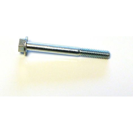 29190052 - Vis de silencieux pour moteur TECUMSEH