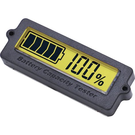 Testeur de tension et de courant pour batterie, moniteur de capacité, étanche 48 V pour une sécurité optimale