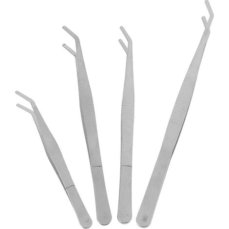 pinzette in acciaio inossidabile per giardinaggio fai da te di piante grasse, accessorio da giardinaggio.