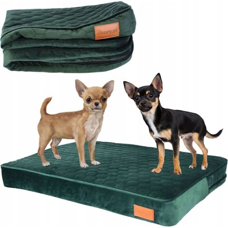 Cuscino ortopedico per cagnolini di piccola taglia 66x45x10 cm M Ucraina VERDE (1/5)
