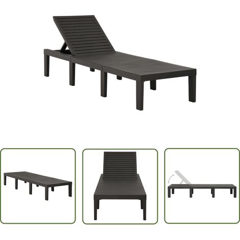 The Living Store Chaise longue plastique anthracite - Chaise Longue - Transat - Lit De Bronzage - Mobilier De Jardin - Chaise Extérieure (1/5)