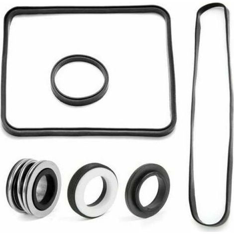 Kit di riparazione O-ring per pompa Hayward Super Pump SP2600 1600 2600X (1/5)