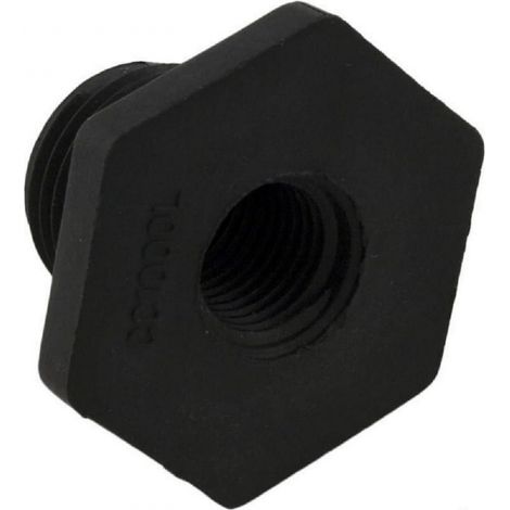 Adaptateur fileté Manomètre pour filtre de piscine SwimClear - Noir - CCX1000L - Hayward