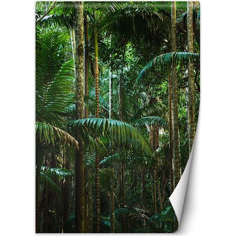 Fototapete Tropische Bäume auf der Insel 100x140 cm (1/5)