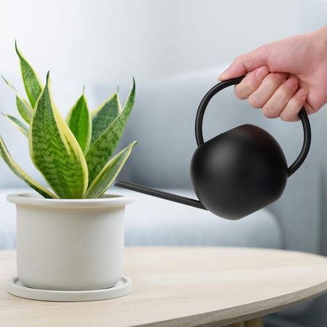 Arrosoir de 400 ml pour usage intérieur, arrosoir de jardin en métal, mini en acier inoxydable. (1/5)