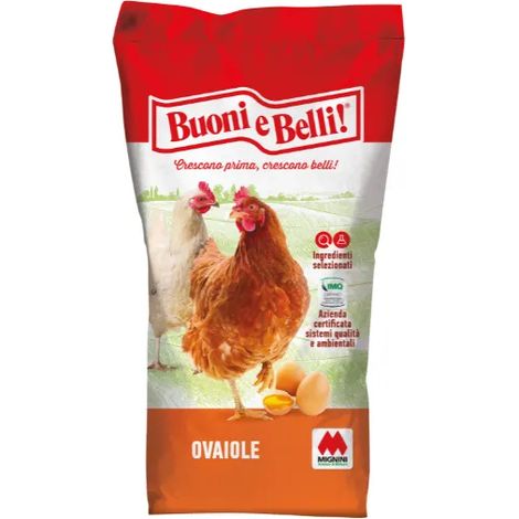 Mangime Ovomio sbriciolato galline ovaiole Mignini e Petrini sacco 10kg 25kg - 10 Kg