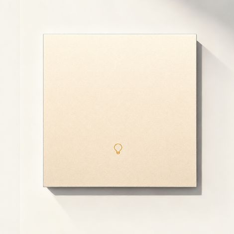 Interrupteur intelligent protocole Thread version avec neutre 1 bouton or champagne 100 g – Livraison gratuite