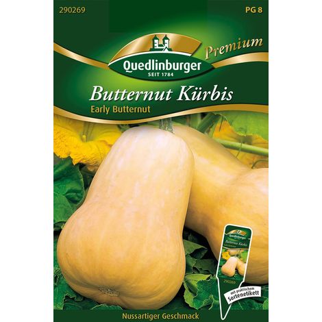 Quedlinburger Saatgut – Courge butternut « Early Buttern » – Graines de légumes, fruits en forme de massue de 30 cm (1/2)