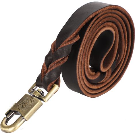 GARRYFIZH Collier & laisse pour chien en cuir souple tressé - 2,5 x 150cm - Accessoire de sécurité pour promenade quotidienne