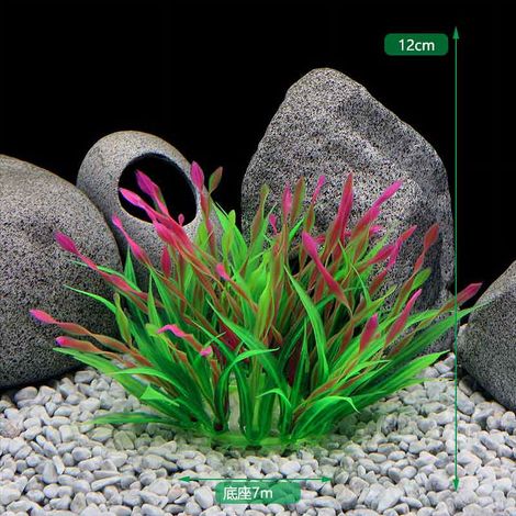 Plante Aquariophile - Décoration en Plastique pour Aquarium - Fonds d'Aquarium - 1 Pièce (1/5)