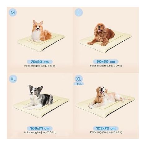 Panier Chien, Tapis Chien Grande Taille, Lavable, 75x50 cm Beige  Matelas Chiens, Coussin Chien Imperméable avec Dessous Antidérapant Bed (1/4)