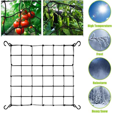 Filet de protection en nylon pour jardin, verger, treillis élastique avec 4 crochets, pour plantes, légumes, fruits, fleurs, 60 x 60 cm