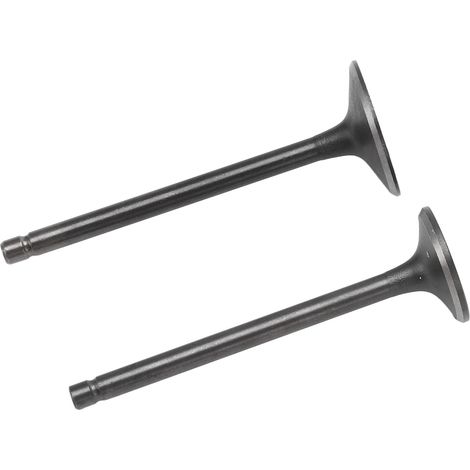 Schwarzes Einlass- und Auslassventil-Set, Ersatzset für XG250 Tricker 2004-2017 (1/5)