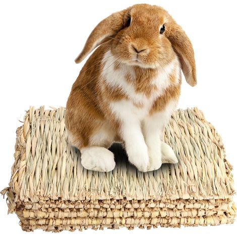 5 Pieces Grass Mat for Rabbits Chew Toys Rabbit Beds Woven Straw Mat for Small Animals Natural Woven Grass Mat for Rabbits Guinea Pig Chinchilla Hamster (1/5)