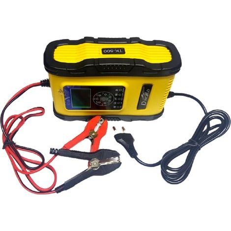 CARICABATTERIE E MANTENITORE SMART L 12Y YAMATO - 12-24V - 200AH (1/4)