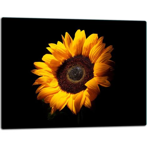 Glasschild Schneidebrett 52x40 Blume (1/5)