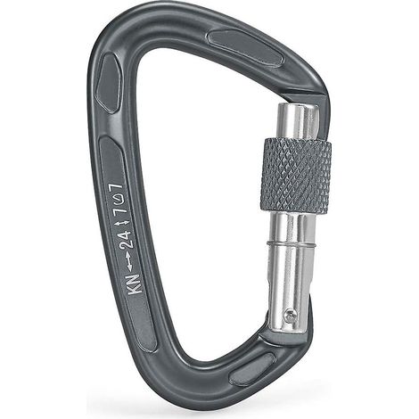 Crochet de sécurité automatique de type D argenté pour l'escalade sur glace et l'alpinisme en extérieur, en alliage magnésium-aluminium durable. (1/5)