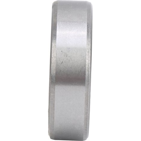 Hochsteifes unidirektionales Lager CSK6004PP (20x42x12) mit Keil - Industrieteile 6004 (1/5)