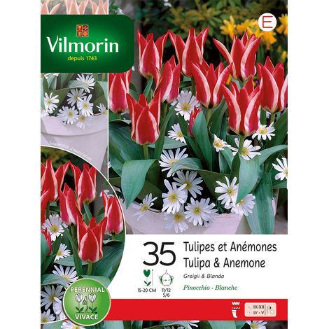 Vilmorin Tulipes et Anémones (x35) (1/2)