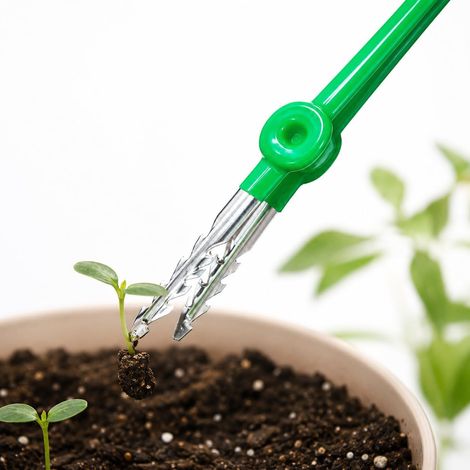19 cm Stainless Steel Tweezers Rustproof - Long Precision Garden Tweezers for Plants, Bonsai & Aquascaping - Versatile Feeding Tweezers & Aquarium Accessories (1/5)