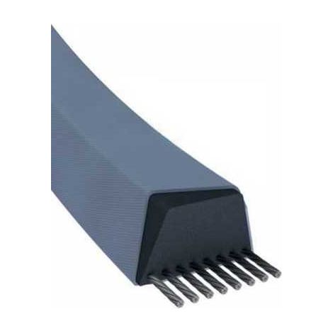 Courroie tondeuse Z33,5 trapézoïdale  10 x 889 mm (1/5)