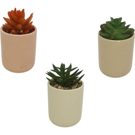 TrAdE Shop Traesio - Set 3pz Vasetto In Ceramica Colorato Con Piantina Grassa Artificiale Assortita 8cm 164292 - (1/2)