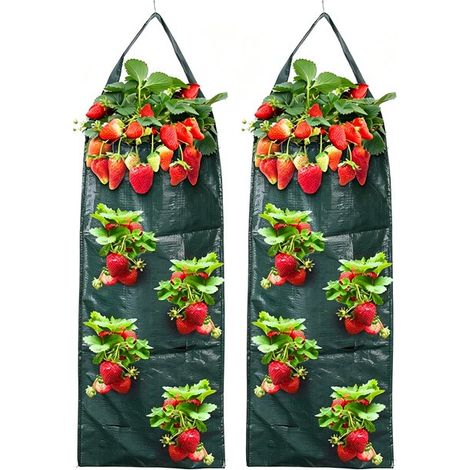 Sacs de culture pour jardin vertical - 2 pièces - jardin suspendu - potager - 8 trous - sac de culture - pour légumes, fleurs et poivrons - 60 x 25 cm - Vert (1/5)