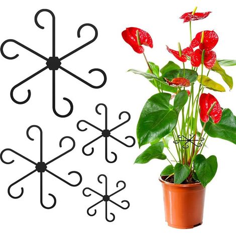24-Piece Plant Support Kit for Climbing Plants – Sturdy Support for Monstera, Pothos and Other Indoor or Outdoor Plants (1/4)