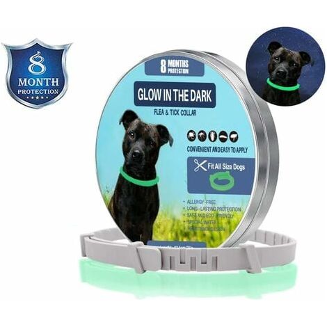 Collier anti-puces anti-tiques lumineux étanche réglable protection 8 mois grand format lot 1 pièce chien chat (1/5)