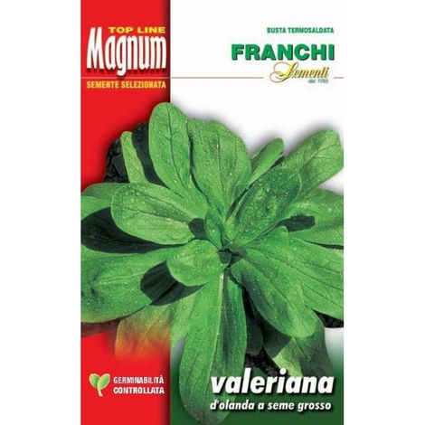 SEMI VALERIANA D'OLANDA SEME GROSSO BUSTA MAGNUM FRANCHI SEMENTI
