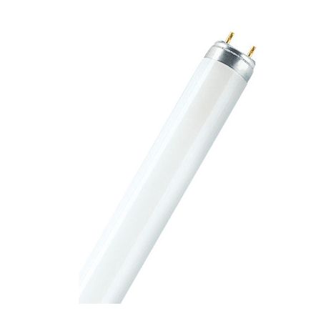 Osram – Lampe fluorescente T5 courte 8 W G5 – Blanc froid – Flux lumineux 430 lm – Pour éclairage intérieur efficace – Dimensions 28,83 cm (1/4)