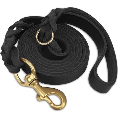 Laisse Chien Cuir, Laisse Cuir Robuste pour Chien avec Crochet Laiton, Douce Durable, Adaptée Petits, Moyens Grands Chiens（Noir, 150cm×2cm） (1/5)