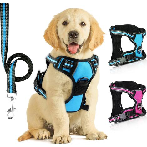Harnais Chien, couleur bleu, Réfléchissant, Traction, Bleu, Anti, pour chien, usage quotidien (1/5)