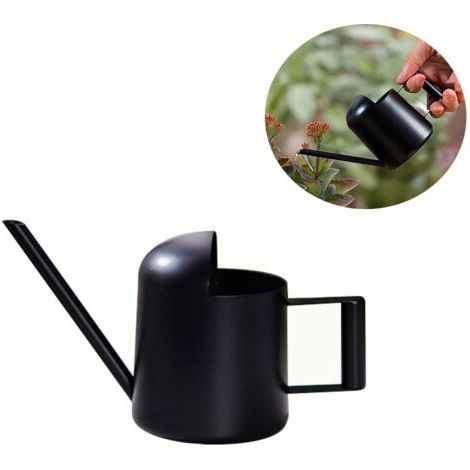 Arrosoir en acier inoxydable 300 ml – Long bec pour arrosage précis – Poignée ergonomique – Accessoire décoratif pour plantes d'intérieur