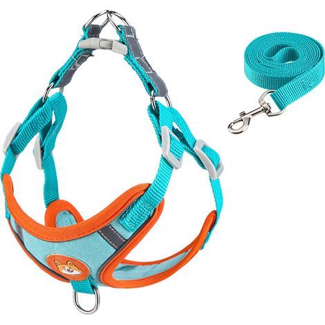 Reflective Dog Harness – Comfortable Adjustable Vest for Hiking, Travel, Outdoor Walking (Lake Blue) (1/5)