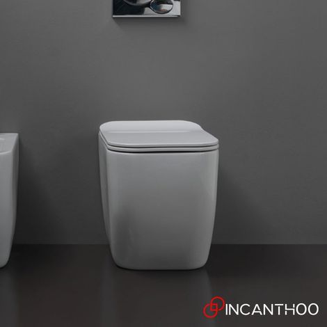 Vaso Filo Muro BRIO a Terra con Sedile Soft Close - Chiusura Silenziosa Rallentata - WC con Sistema di Scarico Smart Clean (1/5)