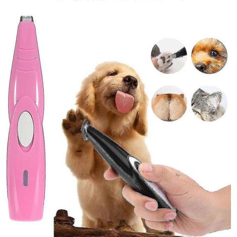 Sèche-cheveux électrique pour le pelage et les pattes du chien, pour un séchage localisé après le bain, à usage domestique.-AquaForge (1/5)