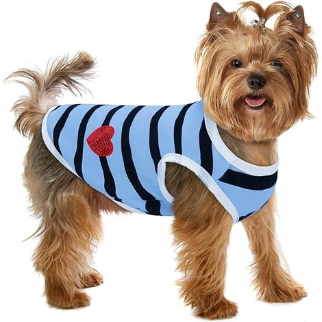 Pet Dog T-shirt rayé Chiens Chats Gilet de coton Printemps Été Vêtements pour animaux de compagnie Tee Shirt Convient aux petits et moyens grands animaux de compagnie Bichon Bouledogue Français, M-Ray (1/5)
