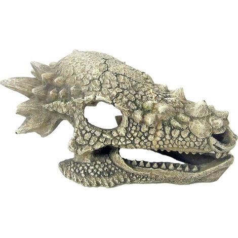 Crâne de dragon 15,3x10x80 cm décoration pour aquariums