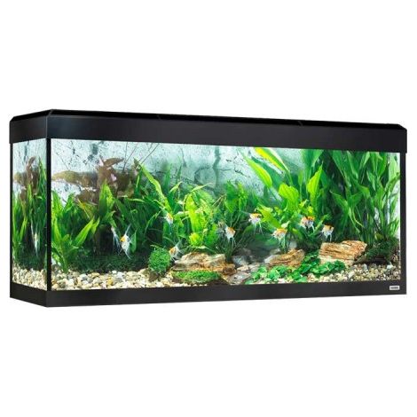 Fluval Rome LED Bluetooth 240L, nero