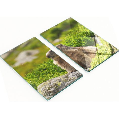 Tableros de vidrio duraderos y elegantes con estampado de marmota de Tatra, 2x30x52 cm.