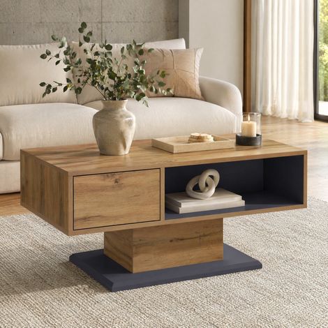 Table basse avec double espace de rangement, 100 x 50 x 46,5 cm, effet bois gris DESVIAE (1/5)