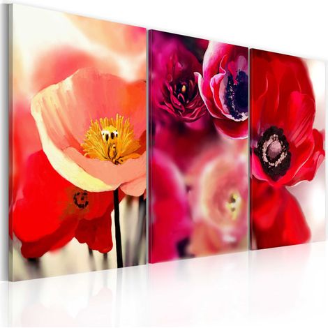 Tableau Imprimé "Coquelicots Trois Perspectives" 80 x 120 cm (1/2)